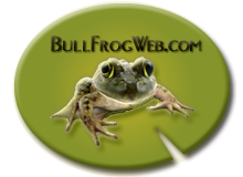 Bull Frog Web Services Logo